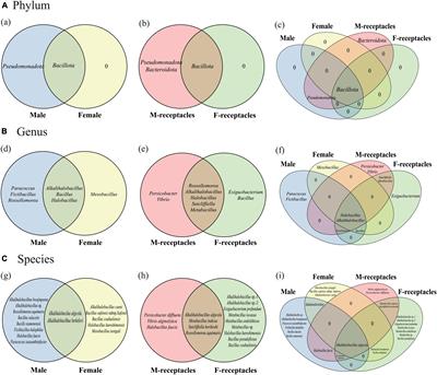 The host sex contributes to the endophytic bacterial community in Sargassum thunbergii and their receptacles